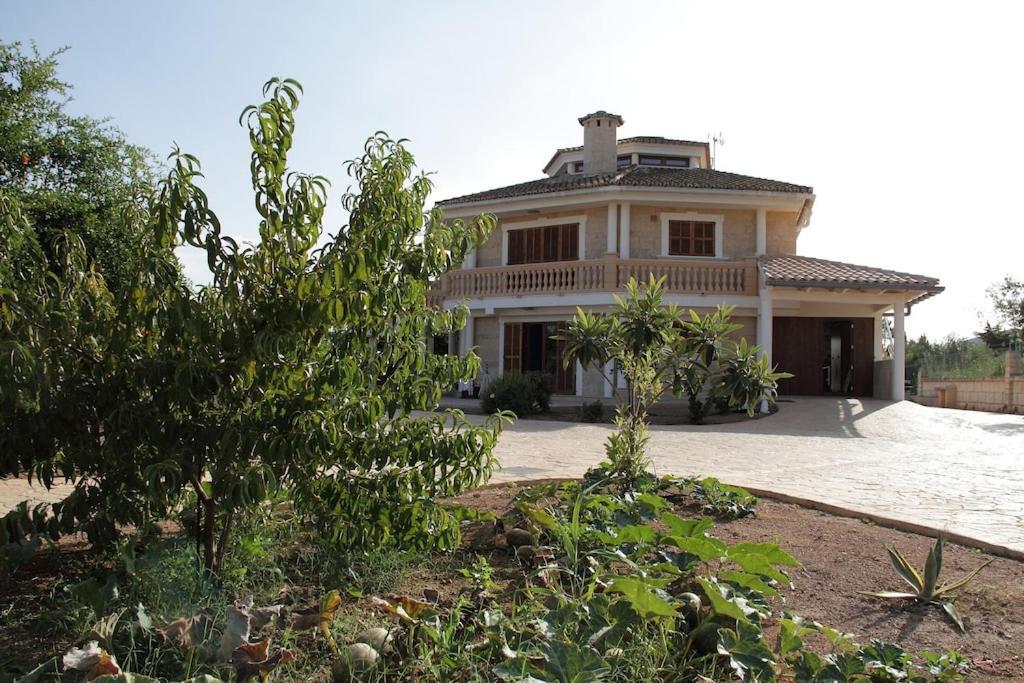 Villa President Cosmos Playa de Muro  Ngoại thất bức ảnh